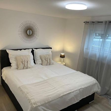 Gemuetliche&Moderne Ferienwohnung Naehe Trier & Luxemburg Bollendorf Exteriér fotografie